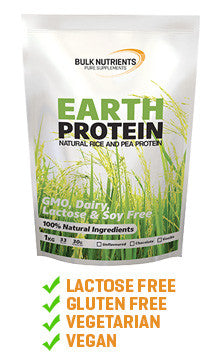 Earth Protein - Vanilla - 1KG - Bulk Nutrients
